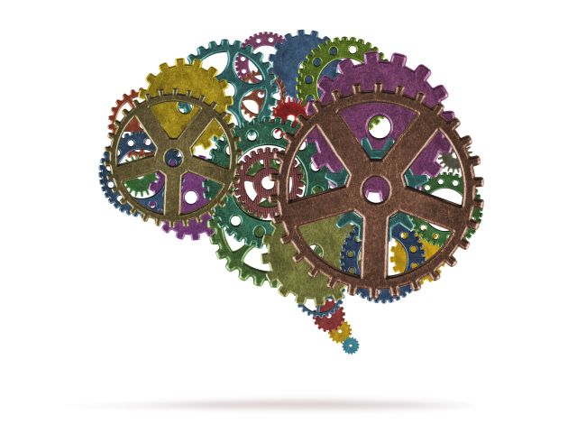 brain made gears